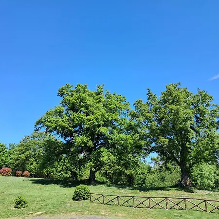 Tenuta Cortevecchia 公寓 *
