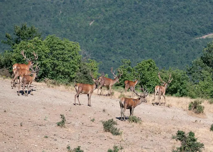 Tenuta Cortevecchia *